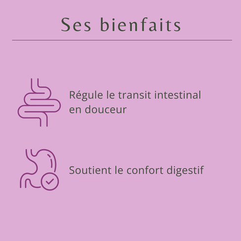 Bienfaits transit nature lactulose Fleurance Nature