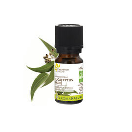 Eucalyptus radiata organic essential oil