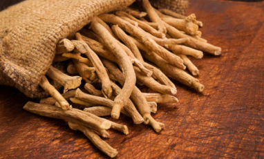 L’ashwagandha, la plante de la vitalité