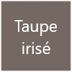 Teinte taupe irisé